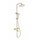 Душевая стойка с термостатом Wonzon & Woghand Stay WW-B3051-A1-BG, золото брашированное фото 