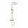 Душевая стойка с термостатом Wonzon & Woghand Neo WW-B3045-A-BG, золото брашированное фото 