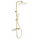 Душевая стойка с термостатом Wonzon & Woghand Shelf WW-B3552-BG, золото брашированное фото 