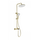 Душевая стойка с термостатом Wonzon & Woghand Muse WW-B2091-A-BG, золото брашированное фото 