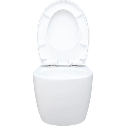 Унитаз подвесной безободковый Aquanet ZV-1 303977 с крышкой микролифт фото 11