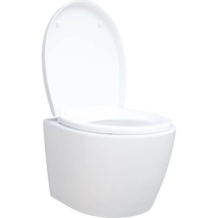 Унитаз подвесной безободковый Aquanet ZV-1 303977 с крышкой микролифт фото 13