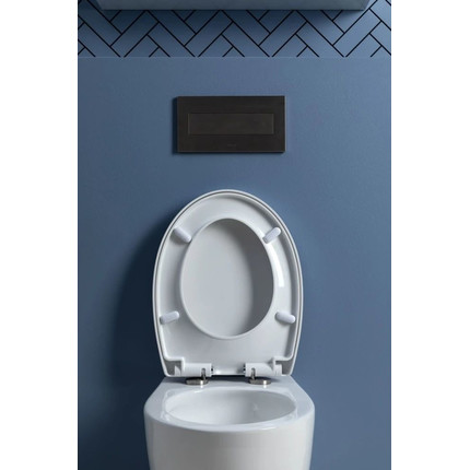 Унитаз подвесной безободковый Aquanet ZV-1 303977 с крышкой микролифт фото 26