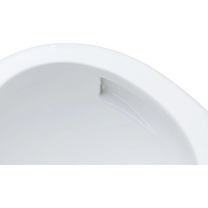 Унитаз подвесной безободковый Aquanet ZV-1 303977 с крышкой микролифт фото 6