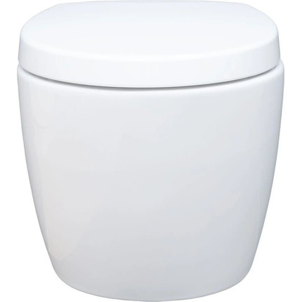 Унитаз подвесной безободковый Aquanet ZV-1 303977 с крышкой микролифт фото 9