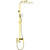 Душевая система Raglo R01.24.03, сатин золотой фото 