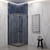Душевое ограждение EvaGold 90х90 см EG220074, оружейная сталь/прозрачное фото 