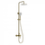 Душевая стойка Wonzon & Woghand WW-B2166-A-BG, золото брашированное фото 