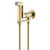 Набор для гигиенического душа Aquatek Альфа AQ1919BG (со скрытой частью) золото шлифованное фото 