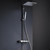 Душевая стойка с термостатом Grohe Euphoria SmartControl System 310 DUO 26508000 - 2 Душевая стойка с термостатом Grohe Euphoria SmartControl System 310 DUO 26508000 фото 2