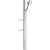 Душевой гарнитур Hansgrohe Raindance Select S 120 3jet 27646400, белый/хром фото 