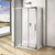 Душевое ограждение Bas Orion WTW+SP G-CH 100х80 см хром/матовое фото 4