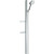 Душевой гарнитур Hansgrohe Raindance Select S 120 3jet 27646000 фото 
