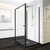Душевое ограждение RGW PA-44B 100x80 см 04084408-014, черный/прозрачное фото 
