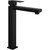 Смеситель для раковины высокий Paini Grazia 21PZ205LL, черный матовый фото 