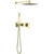 Душевая система для душа Timo Selene SX-2169/17SM, золото матовое фото 