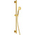 Душевой гарнитур Cezares ECO-SD-BORO, брашированное золото фото 