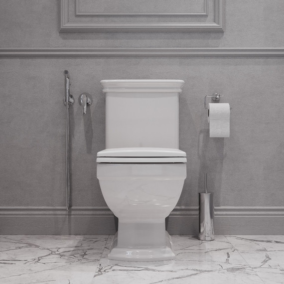 Унитаз-компакт Iddis Oldie OLD2DSEi24 с крышкой микролифт фото 6