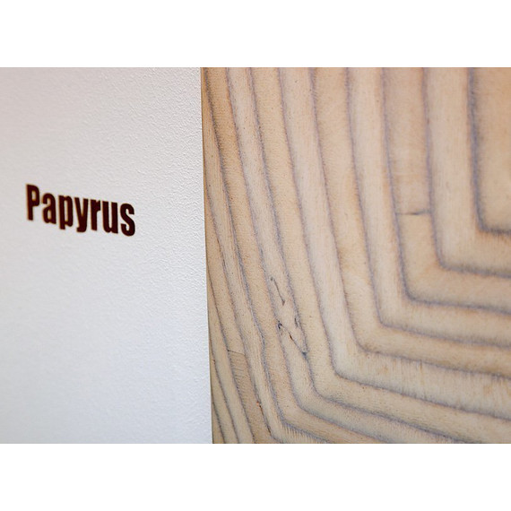 Зеркало Aqwella Clarberg Papyrus wood 100 см Pap-w.02.10/LIGHT, светлое дерево фото 5