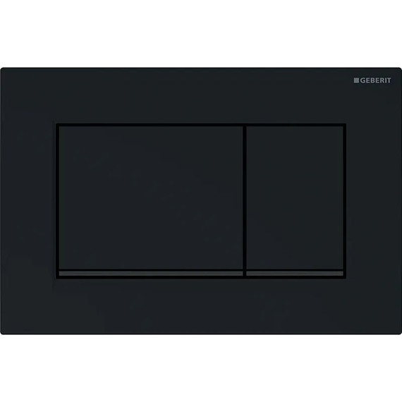 Смывная клавиша Geberit Sigma 30 115.883.DW.1, чёрный матовый фото 