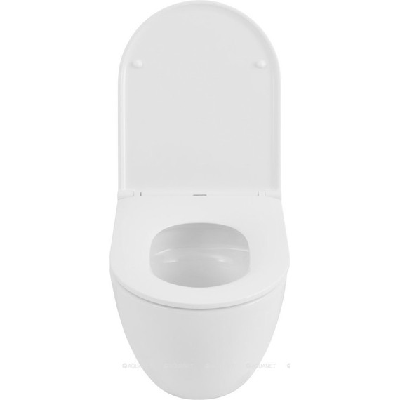 Унитаз подвесной безободковый Allen Brau Priority 4.31008.20 (система смыва Торнадо) фото 11