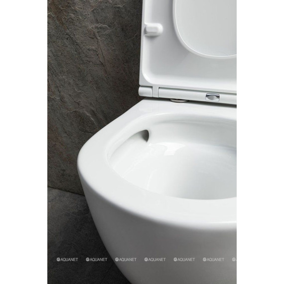 Унитаз подвесной безободковый Allen Brau Priority 4.31008.20 (система смыва Торнадо) фото 4