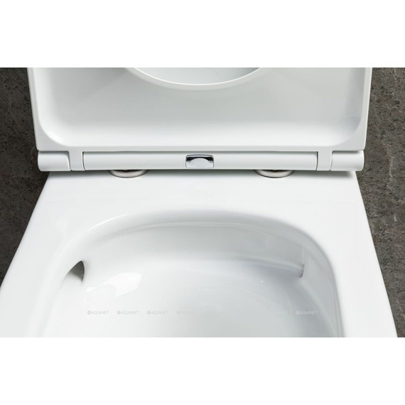 Унитаз подвесной безободковый Allen Brau Priority 4.31008.20 (система смыва Торнадо) фото 5