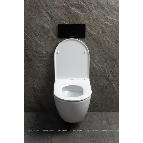 Унитаз подвесной безободковый Allen Brau Priority 4.31008.20 (система смыва Торнадо) фото 6