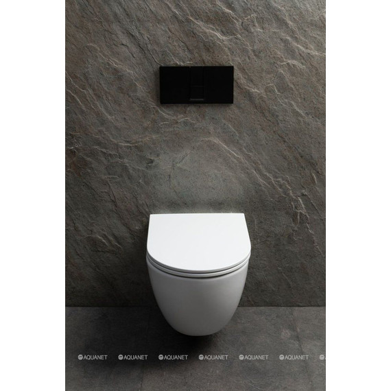 Унитаз подвесной безободковый Allen Brau Priority 4.31008.20 (система смыва Торнадо) фото 7