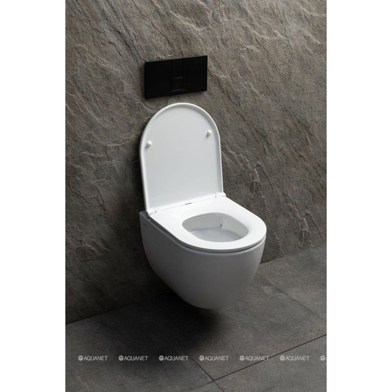 Унитаз подвесной безободковый Allen Brau Priority 4.31008.20 (система смыва Торнадо) фото 8