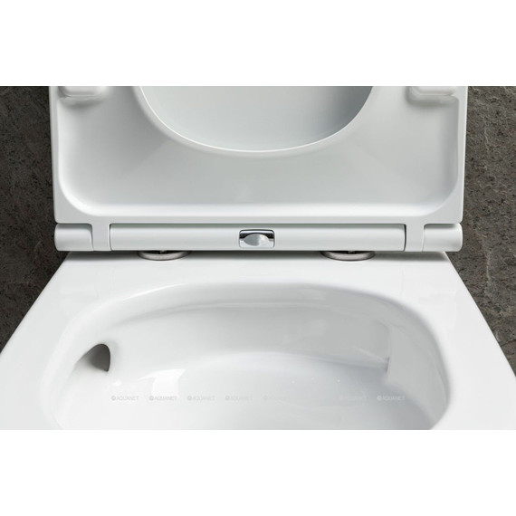 Унитаз подвесной безободковый Allen Brau Priority 4.31009.20 (система смыва Торнадо) фото 4