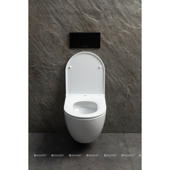 Унитаз подвесной безободковый Allen Brau Priority 4.31009.20 (система смыва Торнадо) фото 8