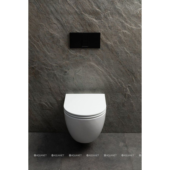 Унитаз подвесной безободковый Allen Brau Priority 4.31009.20 (система смыва Торнадо) фото 9