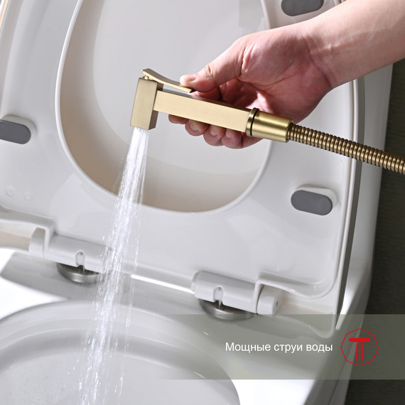 Набор для гигиенического душа Raglo R01.51.03, сатин золотой - 7 Набор для гигиенического душа Raglo R01.51.03, сатин золотой фото 7