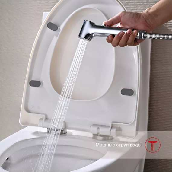 Набор для гигиенического душа Raglo R03.52 (со скрытой частью) хром - 5 Набор для гигиенического душа Raglo R03.52 (со скрытой частью) хром фото 5