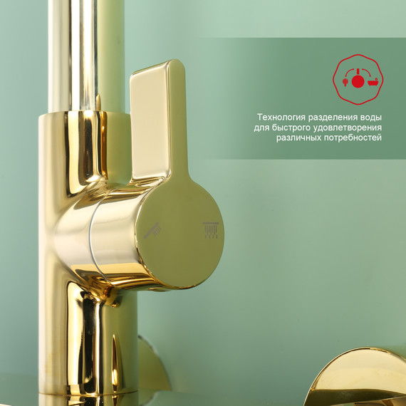 Душевая система Raglo R50.24.23, золото фото 7