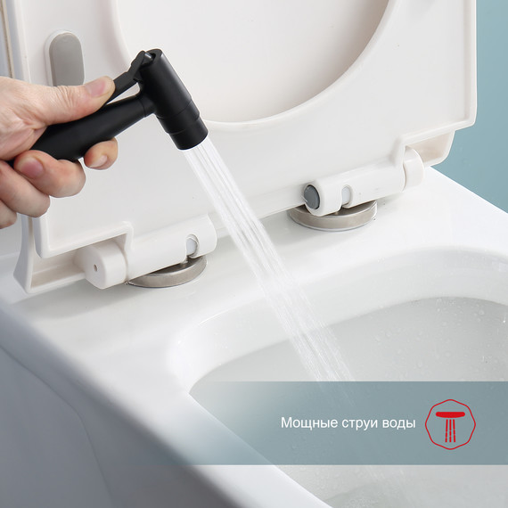 Набор для гигиенического душа Raglo R20.52.06 (со скрытой частью) чёрный - 5 Набор для гигиенического душа Raglo R20.52.06 (со скрытой частью) чёрный фото 5