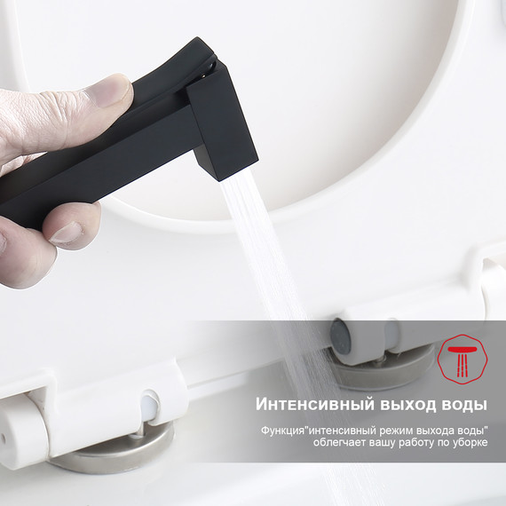 Набор для гигиенического душа Raglo R01.53.06 (со скрытой частью) чёрный - 6 Набор для гигиенического душа Raglo R01.53.06 (со скрытой частью) чёрный фото 6