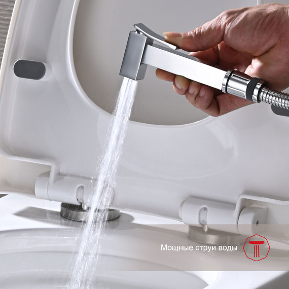 Набор для гигиенического душа Raglo R01.52 (со скрытой частью) хром - 7 Набор для гигиенического душа Raglo R01.52 (со скрытой частью) хром фото 7