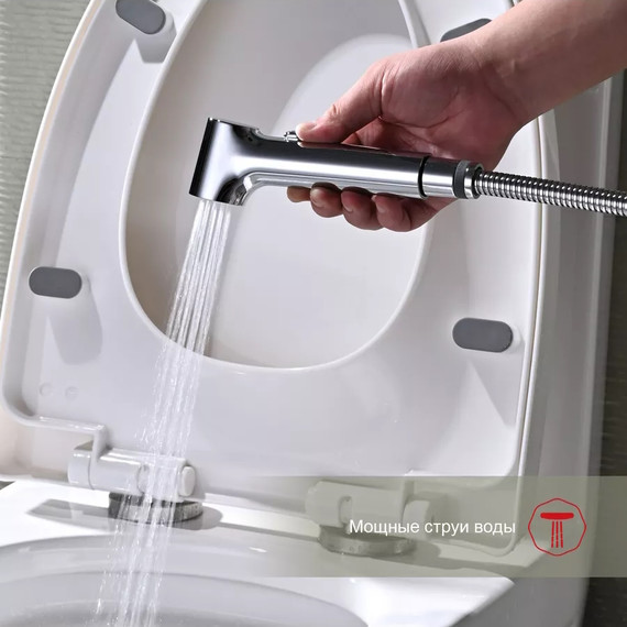 Набор для гигиенического душа Raglo R03.53 (со скрытой частью) хром - 6 Набор для гигиенического душа Raglo R03.53 (со скрытой частью) хром фото 6