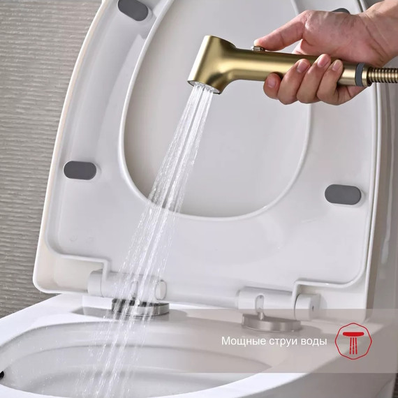 Набор для гигиенического душа Raglo R03.52.03 (со скрытой частью) сатин золотой фото 5