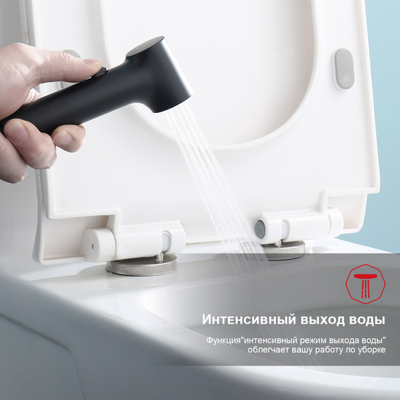 Набор для гигиенического душа Raglo R03.53.06 (со скрытой частью) чёрный - 5 Набор для гигиенического душа Raglo R03.53.06 (со скрытой частью) чёрный фото 5