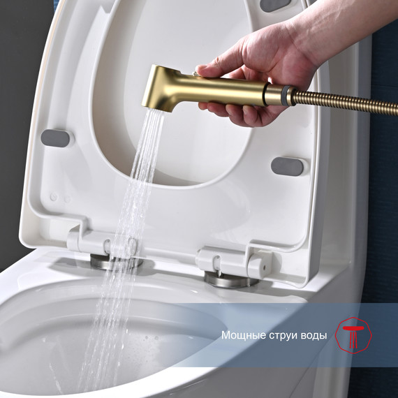 Набор для гигиенического душа Raglo R03.51.03, сатин золотой фото 6