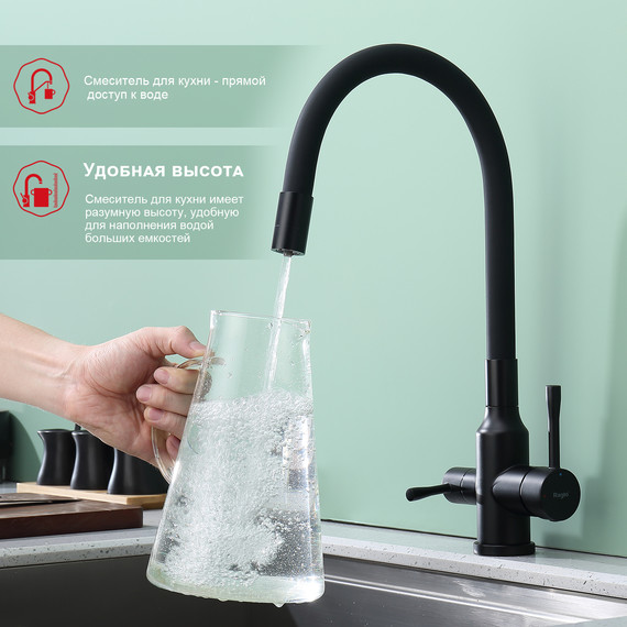 Смеситель для кухни Raglo R81.64.06, чёрный фото 4