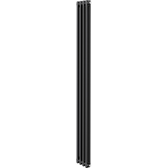 Вертикальный радиатор Royal Thermo Insignia C2180 200x1800 мм (4 секции) чёрный фото 