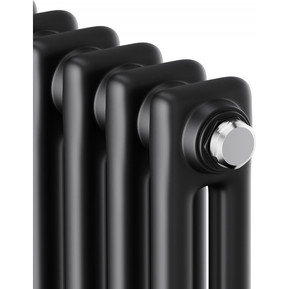 Вертикальный радиатор Royal Thermo Insignia C2180 290x1800 мм (6 секций) чёрный фото 3