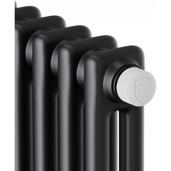 Вертикальный радиатор Royal Thermo Insignia VC2180 560x1800 мм (12 секций) чёрный фото 3