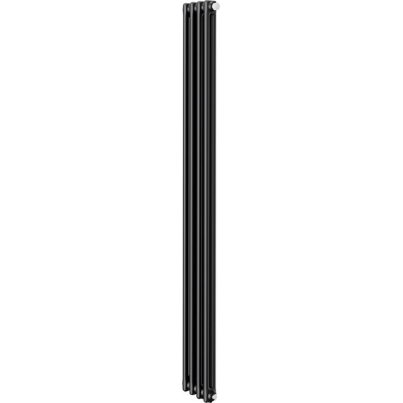 Вертикальный радиатор Royal Thermo Insignia VC2180 200x1800 мм (4 секции) чёрный фото 