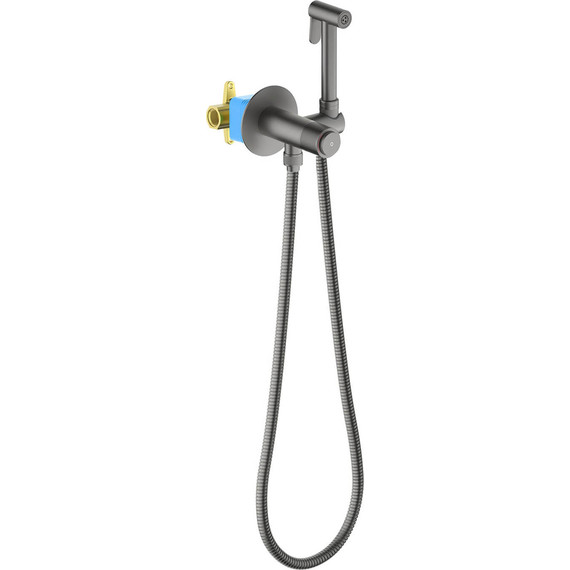 Набор для гигиенического душа Aquatek Бетта AQ1023BGM (со скрытой частью) оружейная сталь фото 2