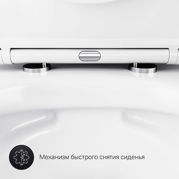 Унитаз подвесной безободковый Am.Pm Sense C741701SC с крышкой микролифт - 11 Унитаз подвесной безободковый Am.Pm Sense C741701SC с крышкой микролифт фото 11